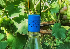 Easy to Print Flytrap For Fruitflys