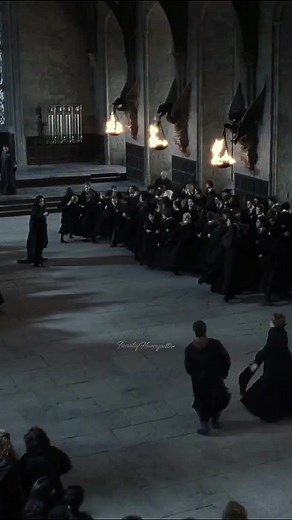 Severus Snape and Minerva McGonagall Dynamic