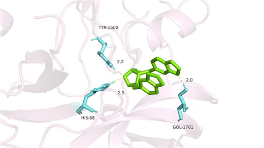 17.2 分子对接pymol可视化教程2
