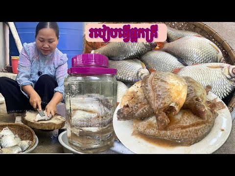 How to Make Cambodian Sour Fermented Fish | Traditional Pa Ork Trey Juo Recipe | Khmer Food