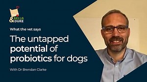 Rowan Sanderson sits down with Dr Brendan Clarke, President of the Raw Feeding Veterinary Society (RFVS) to discuss the probiotic supplement for cats and dogs, FidoSpore™, the benefits of probiotics and what makes this exclusive new product different. https://www.bellaandduke.com/podcast/the-untapped-potential-of-probiotics-for-dogs-podcast-84/?utm_source=facebook&utm_medium=boost&utm_couponcode=ctfb50 | Bella Duke