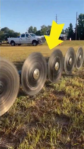 How Helicopters Cut Tree Branches Near Power Lines 🚁🌲