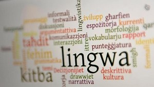 97% consider Maltese the main language they communicate with