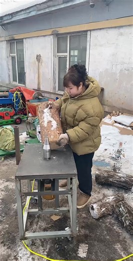 High-Efficiency Hydraulic Firewood Splitter