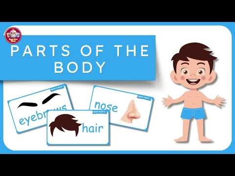 Parts of the Body for Kids | Body Parts Name in English | Kids Learning Video| ‪@Babybirdblush‬