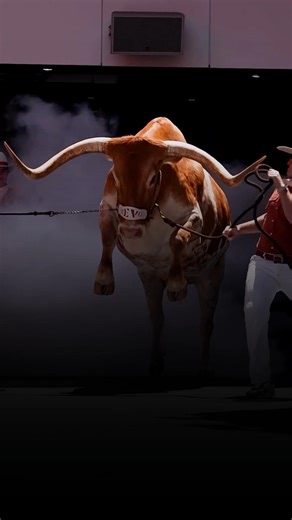 Deva Di Dev Mahadev 🙏🕉️🔥 | Har Har Mahadev | Shiva Bhakti #shorts