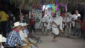 12K views · 682 reactions | Estas Son Nuestras Tradiciones Danza del Venado Mayo Del Norte de Sinaloa Centro Ceremonial San Juan Bautista | Compartiendo Nuestras Tradiciones | Facebook