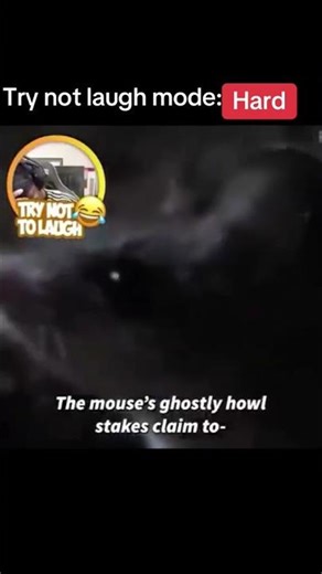 A wolf in mouse clothing