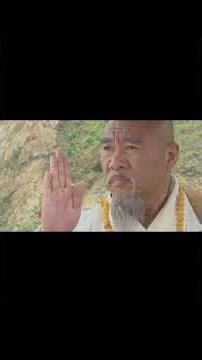 Kung Fu Brawl #kungfu #shorts