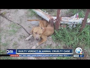 Guilty verdict in animal cruelty case