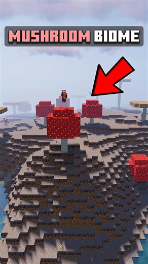 How To Find Rates Biome In Minecraft ?