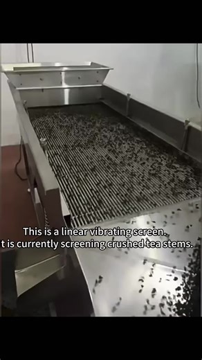 Need more capacity? Our vibrating screen delivers 30–60% higher throughput compared to traditional screening. Strong structure, clean separation, long service life. Choose performance that pays for itself. #vibratingscreen #linearvibratingscreen #bằnghiệu #sieveshaker #removeimpurities