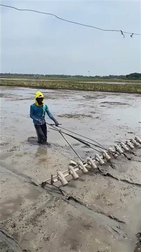 Structured Grid Seed Planting Method Using a Clever Tool