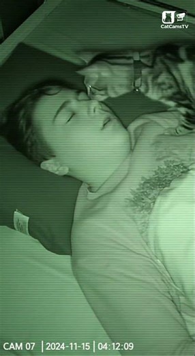 Cat's Purr-fect Calming Technique Stops Sleep Panic Attack | Night Vision Anxiety Relief 🐾💤 #Shorts