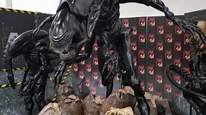 Returning for its 6th year, the original Dublin Comic Con brings Hollywood actors, comic creators, interactive sets, photo ops, gaming, collectables, panels, SFX and much more! Catering to families and fans of all ages this March 9th and 10th! More info at www.dublincomiccon.com | Dublin Comic Con