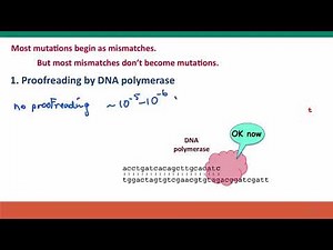 Genetics — 2.1 — Errors in DNA Replication; Mutation Rates