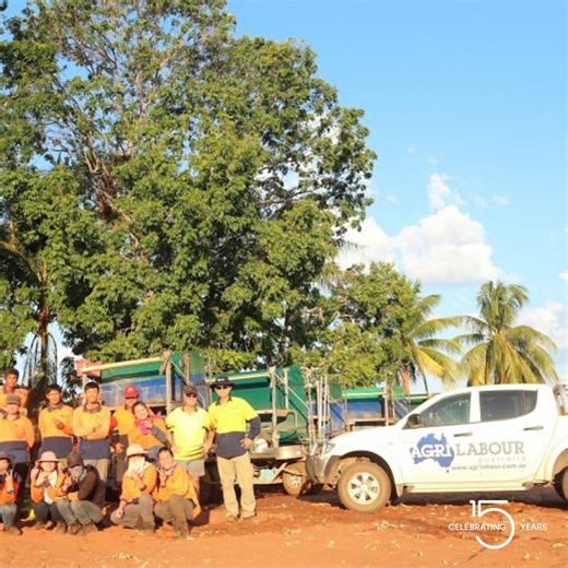 The latest in our rifle through classic Agri Labour Australia photos takes us back to a busy time for us all, with snaps featuring everything from thriving mango harvests to the Agri Veterans program and beyond. #15YearsOfAgriLabourAustralia | Agri Labour Australia