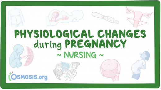 Physiologic changes - Pregnancy: Nursing: Video & Causes | Osmosis