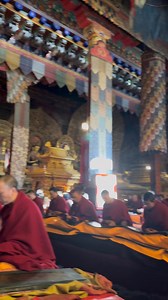 7.8K views · 260 reactions | Sakya Monastery in Tibet More than 300 monks recited the Buddhist texts, Kanjur and Tenjur, in gold calligraphy at Sakya Monastery during Saga Dawa. This rare ceremony takes place only once every 3 to 4 years. | ExPlore with Phub TsheRing. | Facebook
