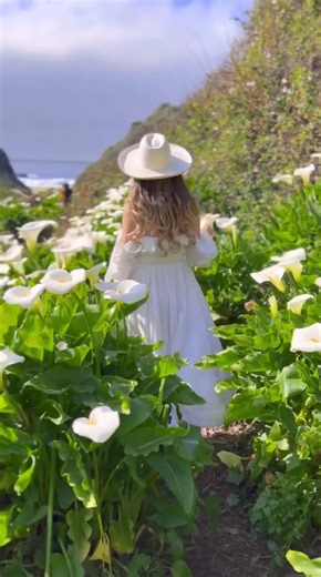Walking through a hidden coastal flower path