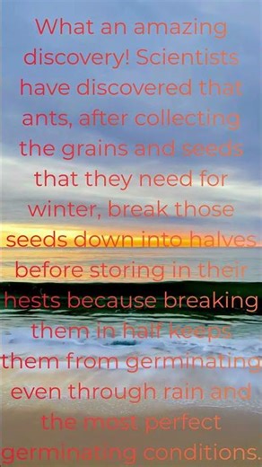 WHAT AN AMAZING DISCOVERY!