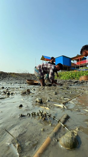 Village people casing fish in the bill #reels #fishing #handfishing | দেশ-বিদেশ