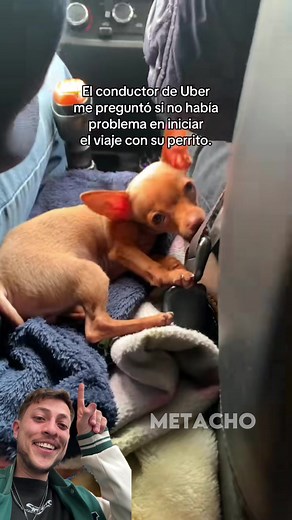 El perrito que te acompaña en tu viaje 🤣 #comedia #humor