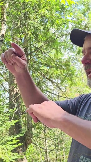 Even the Snakes are different UP here. #snake #foryourpage #outdoors #michiganupperpeninsula #bassfishing #fishing #giantsnake #scary #offgrid #cabin #swamppeople #wow