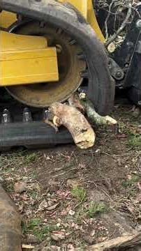 How to put the track on a CAT 275 #trackcameoff #Cat275track #trackbackoncat275