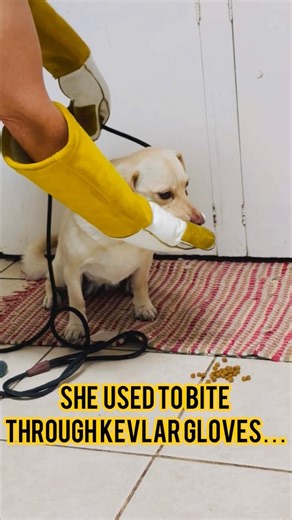 Marsha update 🐾