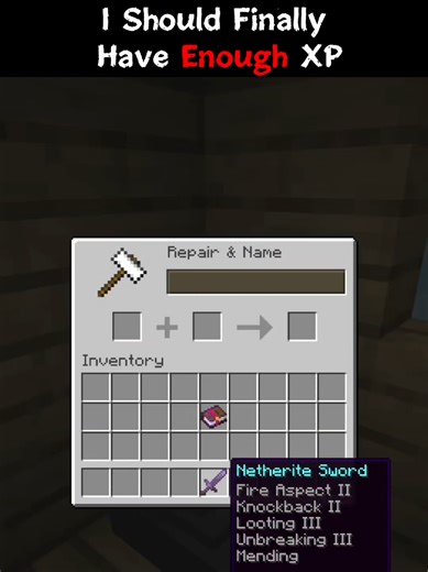 Probably the worst moment when using the anvil... #Minecraft #minecraftfunny #minecraftmemes