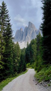 One of my favorite place to hike in Italy. ....#hiking #hike #hikingadventures #nature #naturelovers #naturephotography #mountains #mountainview #italy🇮🇹 #italia #italian #dolomiti #dolomites #visititaly🇮🇹 #südtirol #southtyrol #adventure #travelphotography #travel #travelgram #travelblogger #traveladventures #bucketlist #bucketlistadventures #spring #springiscoming #altoadige | The amazing places