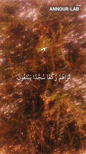 See How Allah Described Prophet Muhammad ﷺ”
