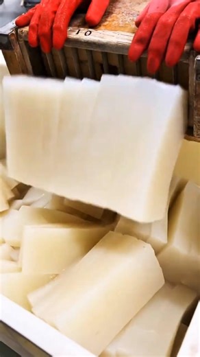 Satisfying Process of Making Fresh, Stretchy Konnyaku Jelly #SatisfyingVideo #Konnyaku #FoodProcess