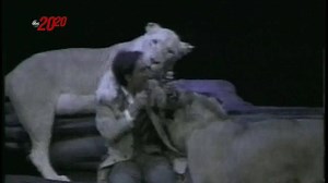 3.1M views · 2.4K reactions | Audience members recall how Siegfried and Roy’s show came to an abrupt end on Oct. 3, 2003, following an onstage incident involving Roy Horn and a white tiger named Mantecore. #ABC2020 #SiegfriedAndRoy ‪https://abcn.ws/2mK0VJY‬ | ABC 20/20 | Facebook