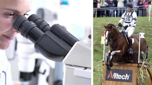 How much does it cost to clone a horse? Plus 9 other interesting cloning facts