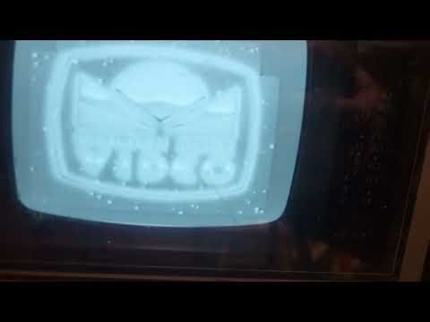 Golden Book Video on the 1984 TV