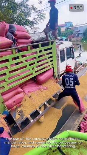 Fast Rice Conveyor Loading System #video #viral #creative #technology #machine