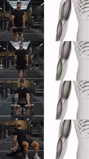 29K views · 2.6K reactions | Looking to build muscle as fast as possible? Comment ‘lean’ for our free lean muscle building strategy guide 﫡 | Cbumfitness | Facebook