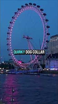 🌍 Flash Facts – Country Edition: England