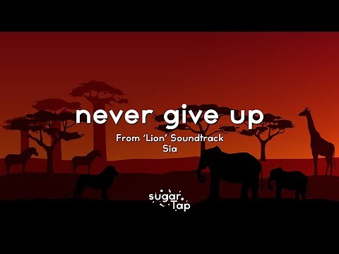 Sia - Never Give Up 🎤 from the 'Lion' Soundtrack