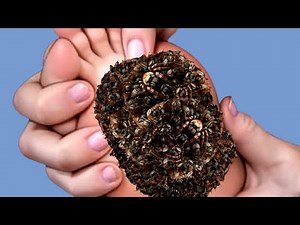 Ultimate calm and relaxation asmr 🥰