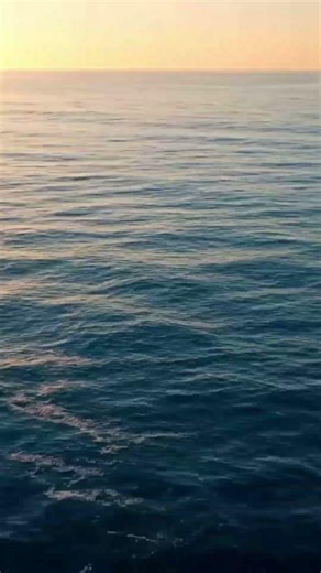 Ocean in Motion | Cinematic Waves 4K