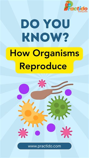 Practido on Instagram: "🌱🧬 How do organisms reproduce? From plants to animals, reproduction is how life continues — and it’s simpler than you think! This video breaks down reproduction in an easy, kid-friendly way, perfect for Class 6–7 Science, school exams, and Olympiad basics. 🎯 Learn Science the fun way with Practido 📲 Watch now & explore smarter learning — link in bio . . . #reproduction #biologyforkids #class7science #scienceexplained #scienceshorts #learnscience #biologybasics #educat