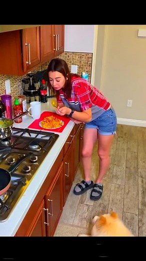 Cooking with My Dog: A Fun Home Kitchen Adventure