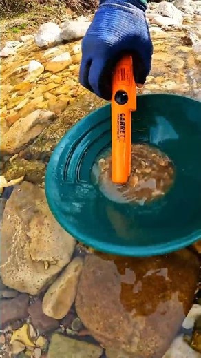 River Gold Prospecting with metal detector #viralshorts #metaldetecting #goldrush