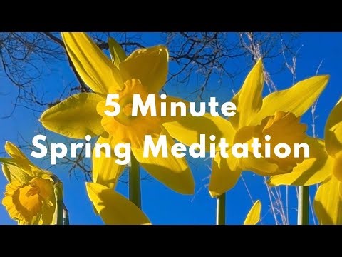 5 Minute Spring Meditation | Spring Quotes and Affirmations