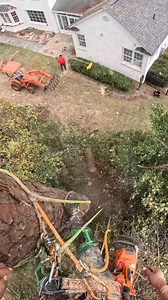 🍃☘️🙏 #arboleros #treeworker #treeworks #TreeRemoval #treeservice #treeclimbing #treeclimber #arborist #woodwork #climbing #climber #snapcut #escaladores #TrabajoEnAltura | Elías Jer