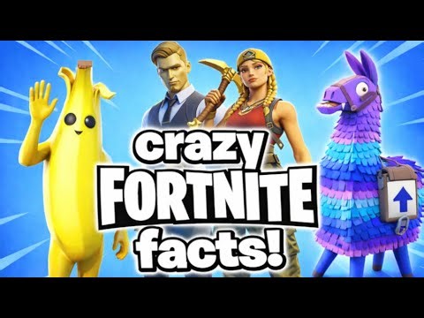🎮 Mind-Blowing Fortnite Facts You Didn’t Know! | 5 Amazing Fortnite Facts