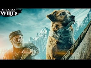قصة كلب تحولات حياتو بعد خطفه وبيعه في الألاسكا، وعيشه الحياة الحقيقية |ملخص فيلم نداء البرية